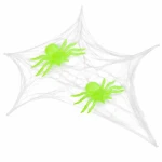 2.webp