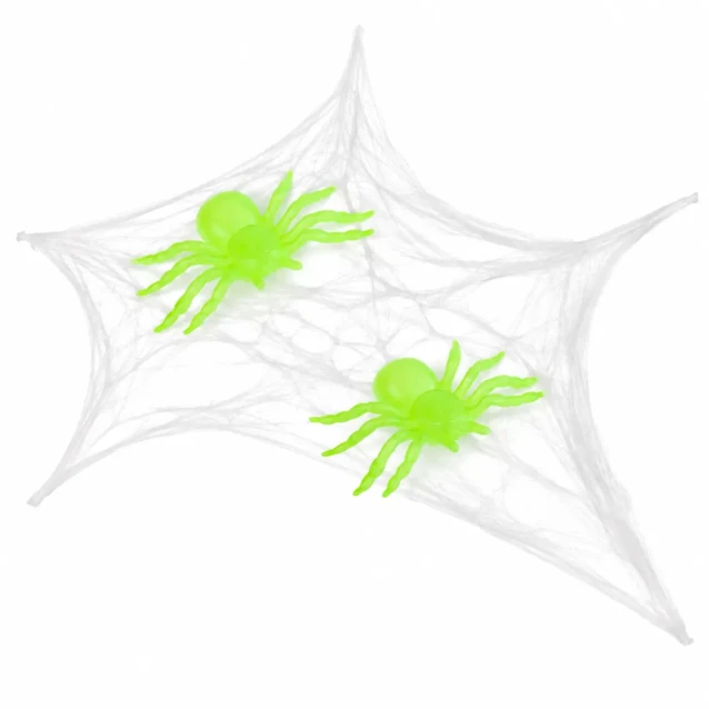 2.webp
