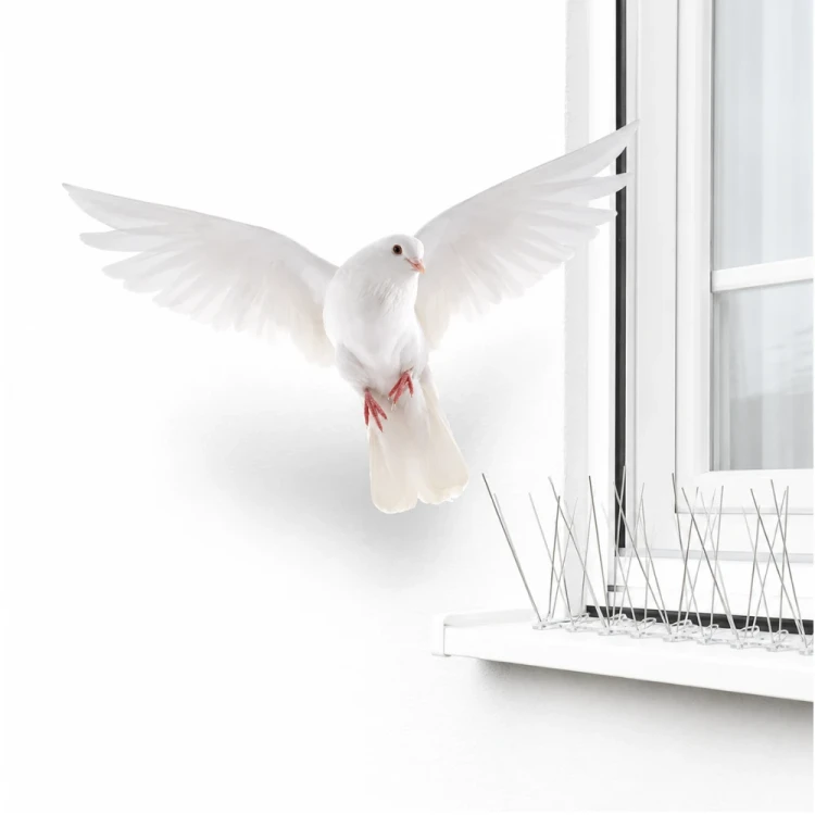 1794.webp