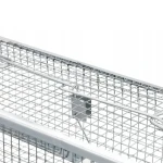 1747.webp