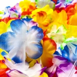 ff9835899b17043e631c0faf07b5d597.webp