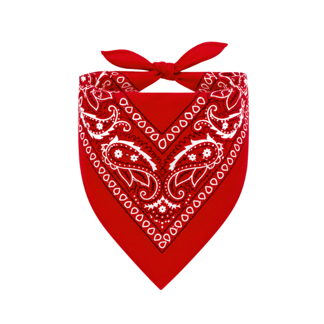 cb435088dbd2c12f8b269d4317b32f10.png