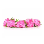 1c2df1a397b8ffab66173005ecff94ec.webp