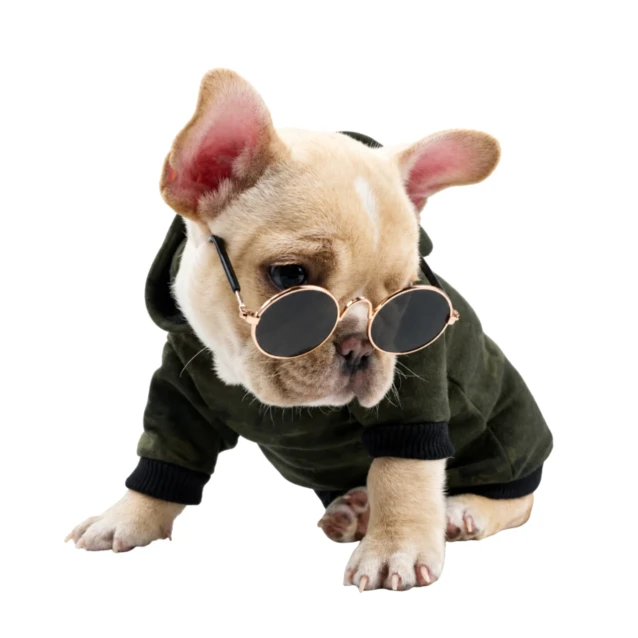 a4113aabc69273f680b248c2509ea29d.webp