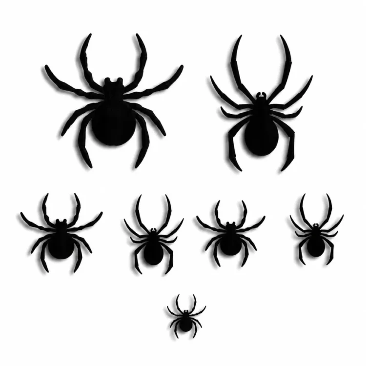 04fde2bef87b8ae797c50032075c9e3c.webp