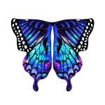 2db80f92c3d303ec73c165f28078c3af.webp