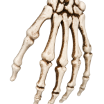 83598a4421af6caf737f85e6cd4f17be.png