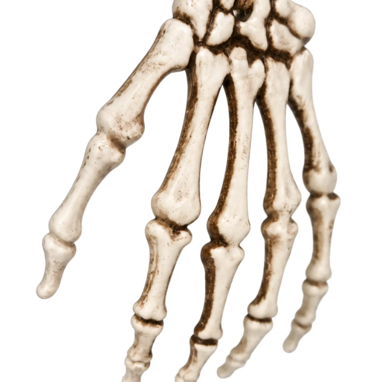 83598a4421af6caf737f85e6cd4f17be.png